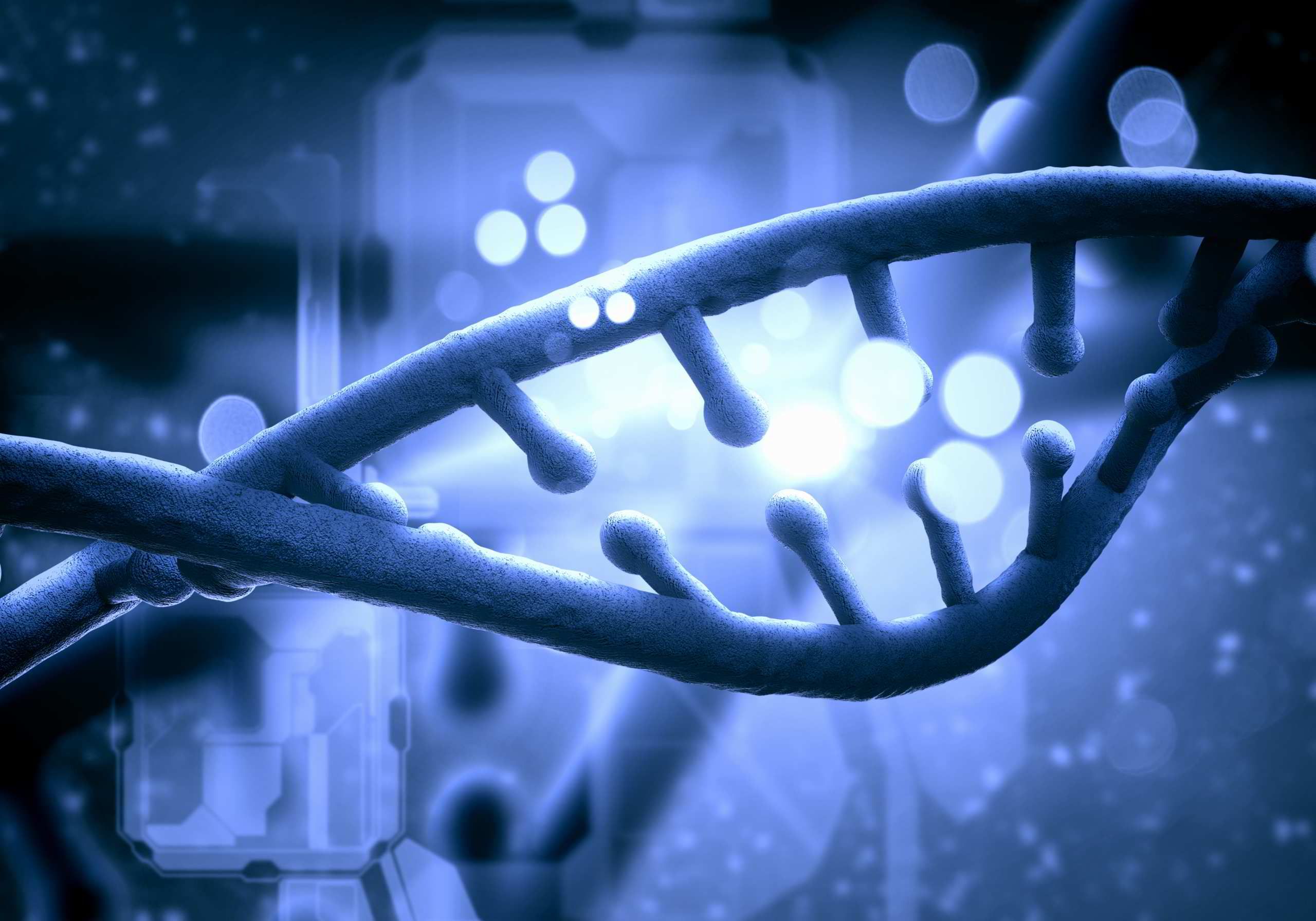 No: i vaccini non sono fatti con cellule di feti abortiti