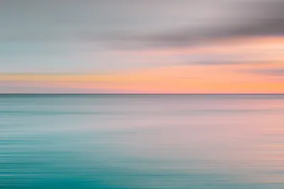 Forme di vita: ne possono esistere altre?