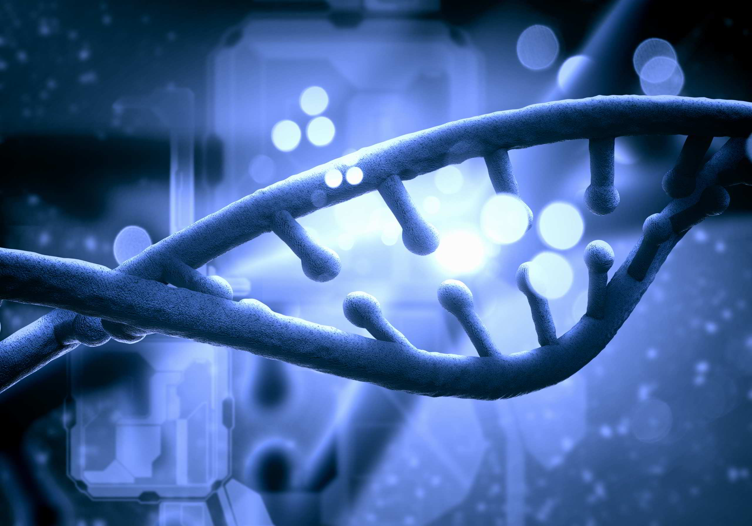 No: i vaccini non sono fatti con cellule di feti abortiti